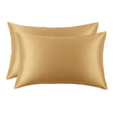 22 Momme Pure Silk Pillowcase (2 pack)