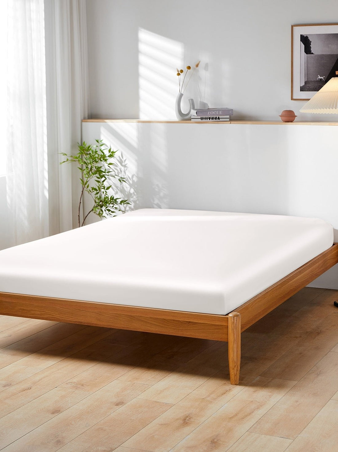 19 Momme Silk Fitted Sheet - THXSILKW01W21406T