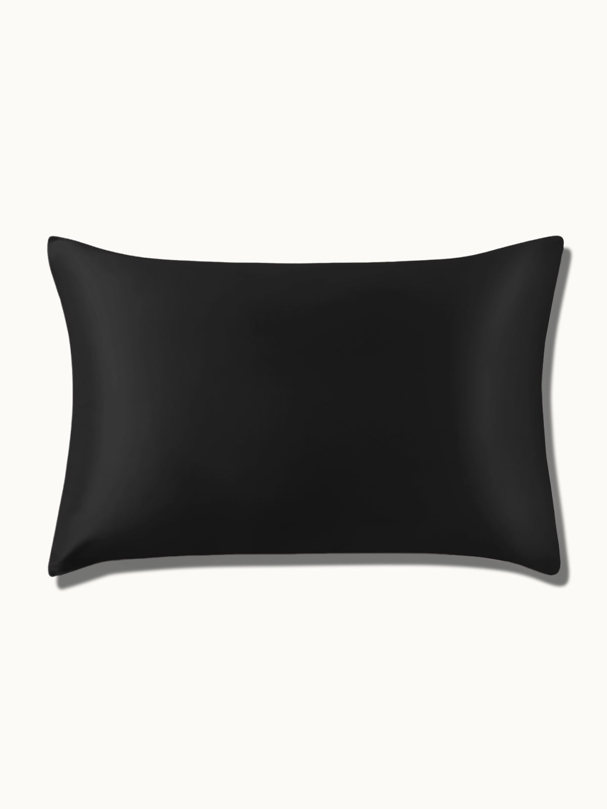 19 Momme Silk Pillowcase - THXSILKW01W25514a