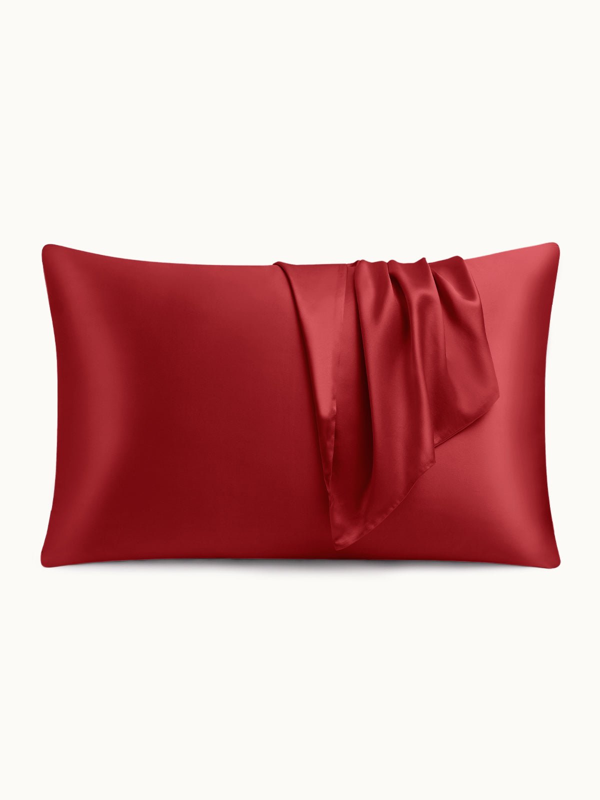 19 Momme Silk Pillowcase - THXSILKW01W15514a