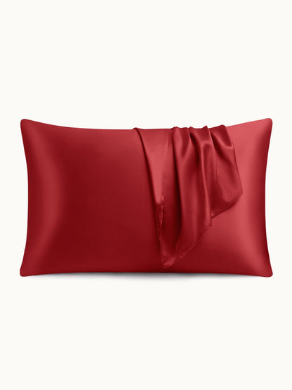 19 Momme Silk Pillowcase - THXSILKW01W15514a