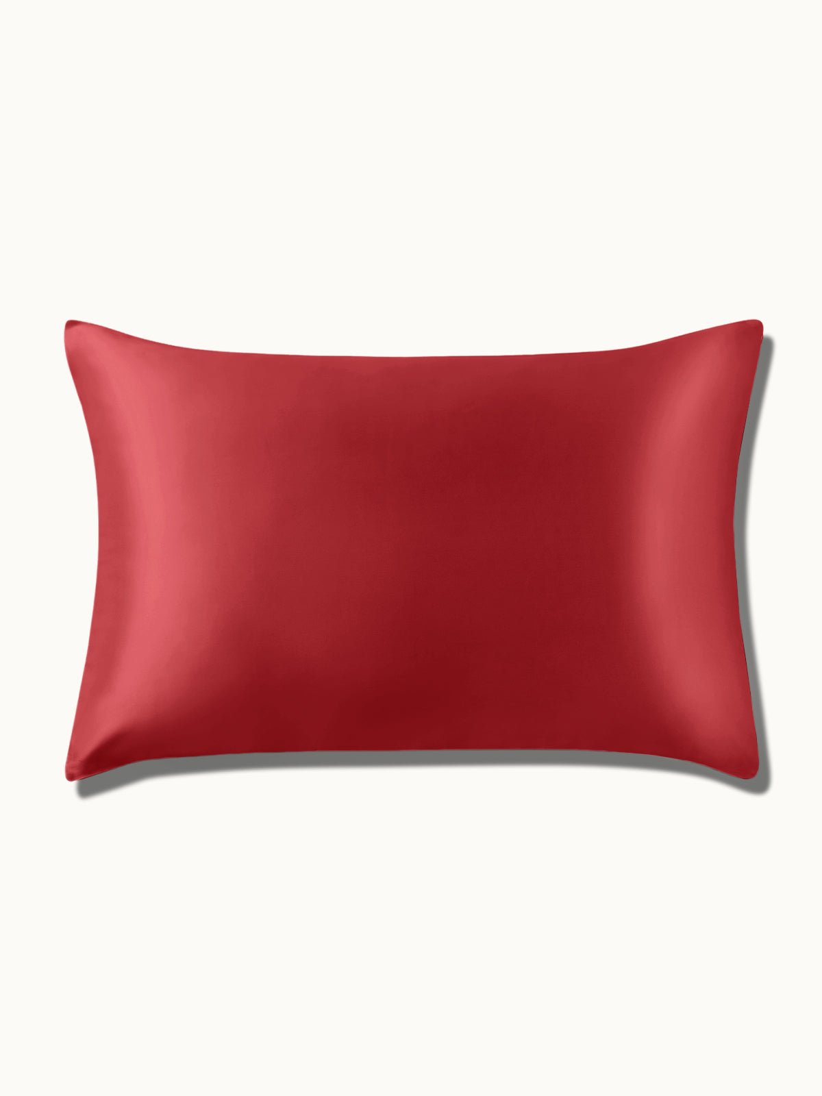 19 Momme Silk Pillowcase - THXSILKW01W08514a
