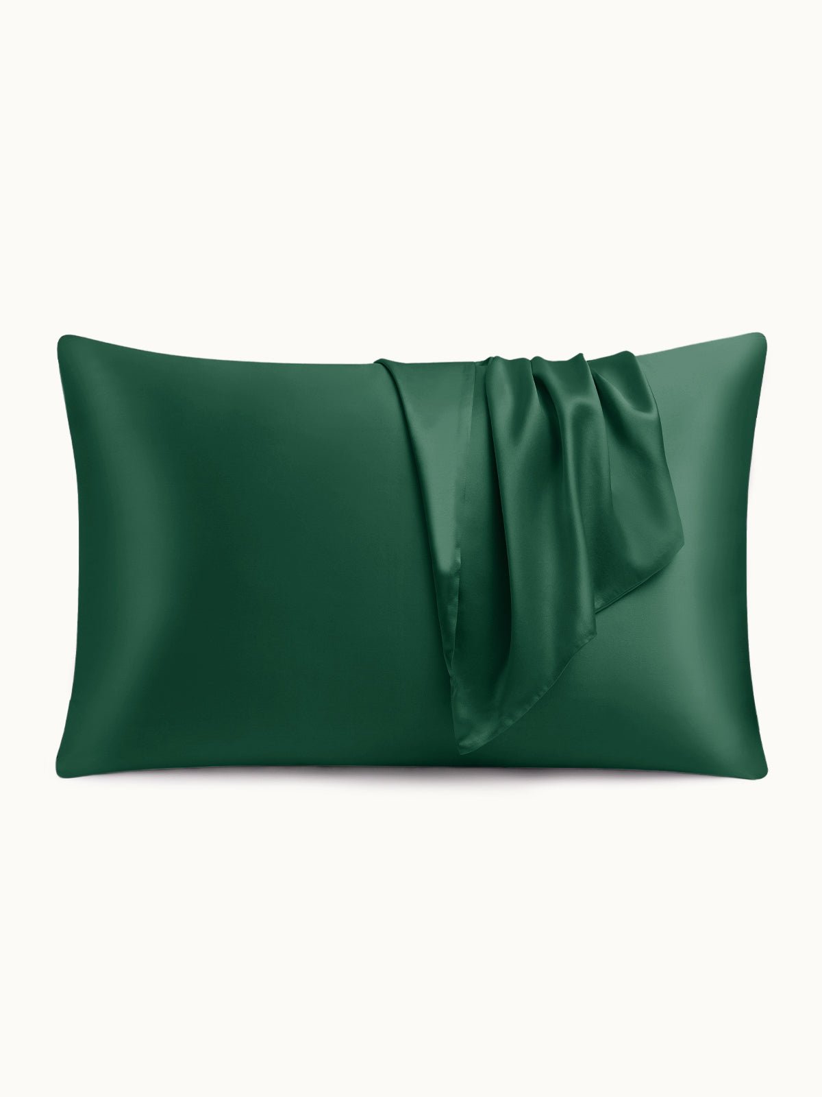 19 Momme Silk Pillowcase - THXSILKW01W20514a