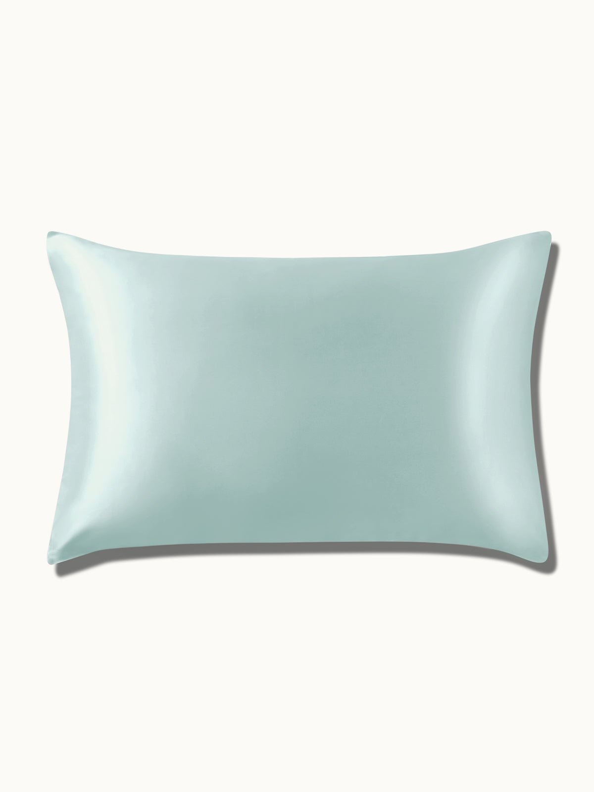 19 Momme Silk Pillowcase - THXSILKW01W21514a