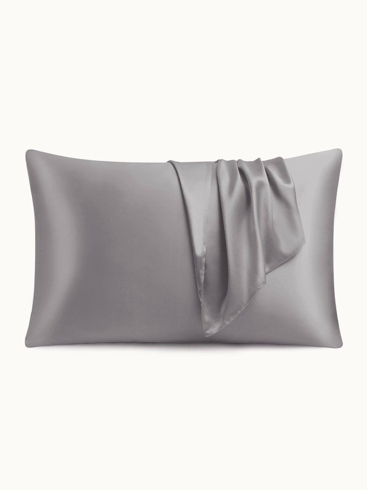 19 Momme Silk Pillowcase - THXSILKW01W26514a