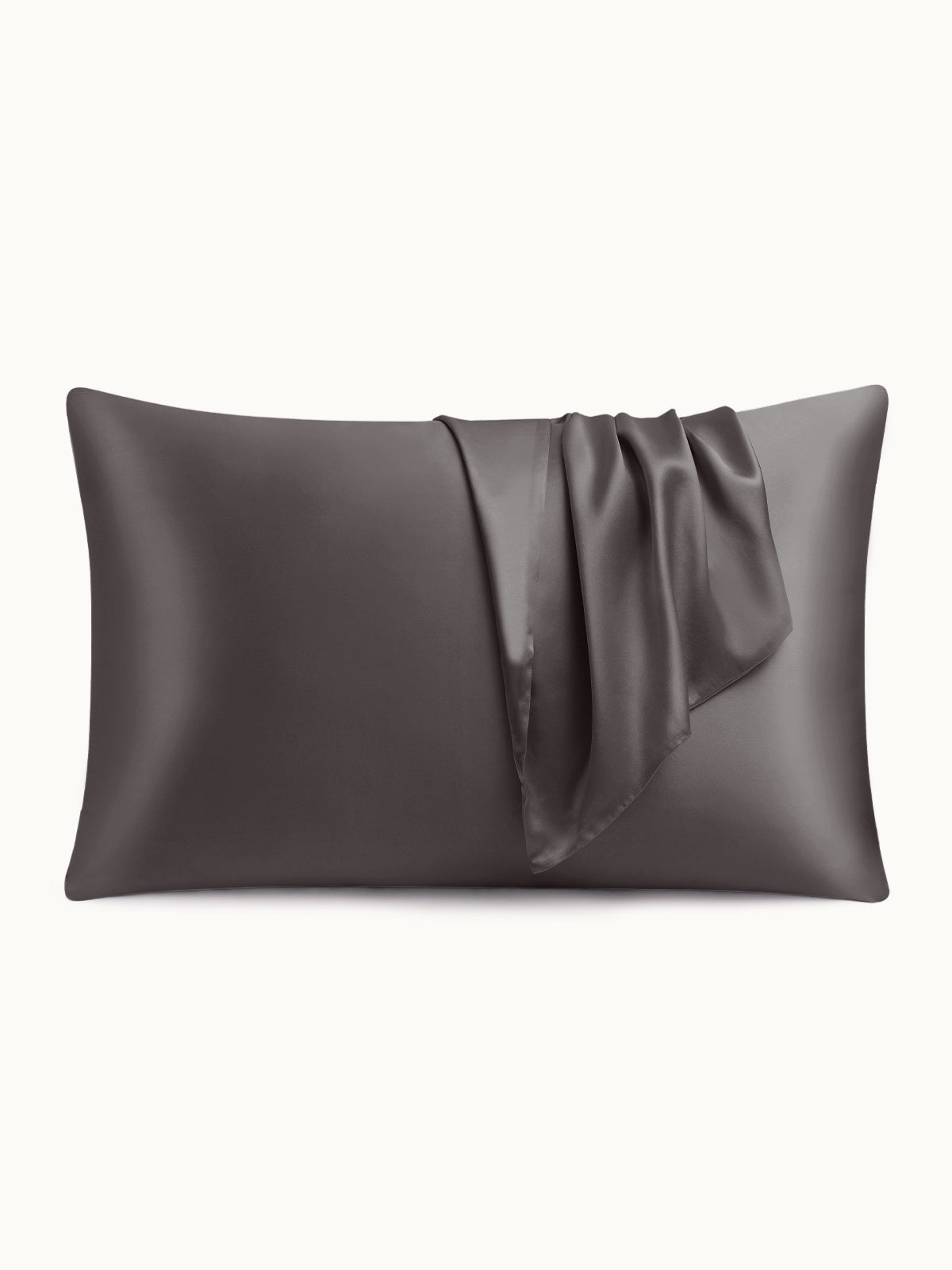 19 Momme Silk Pillowcase - THXSILKW01W25514a