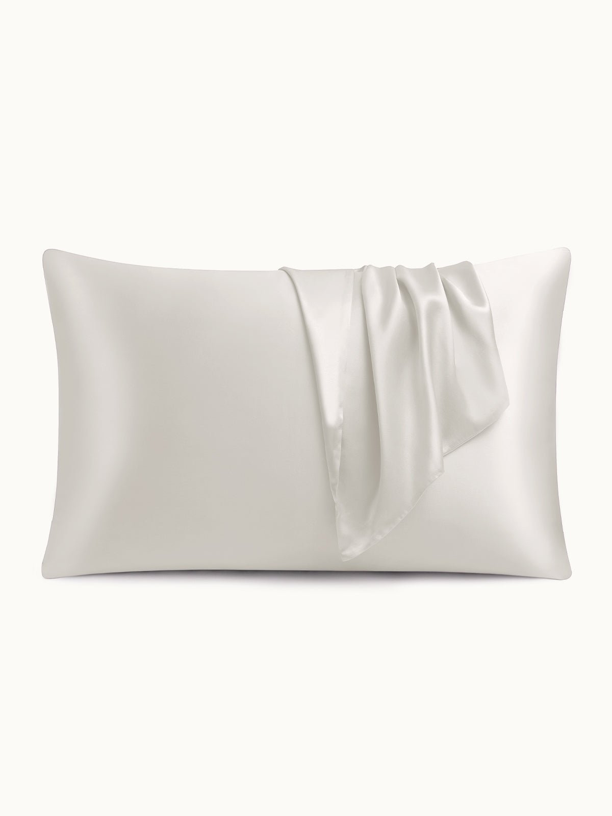 19 Momme Silk Pillowcase - THXSILKW01W21514a