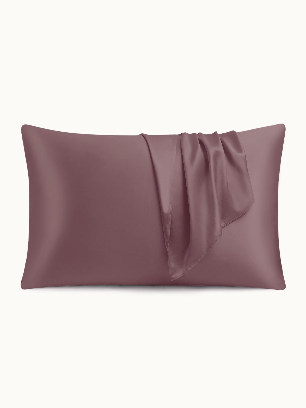 19 Momme Silk Pillowcase - THXSILKW01W06514a