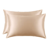 19 Momme Silk Pillowcase (2 pack)