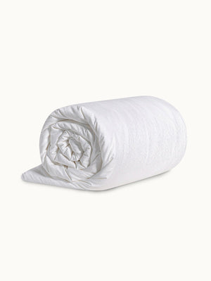 Cozy Winter Silk Comforter